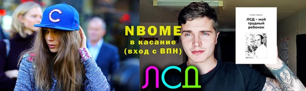 мет Алексин