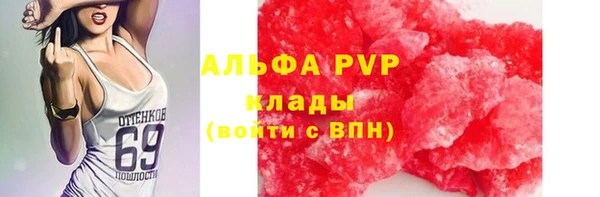мет Алексин