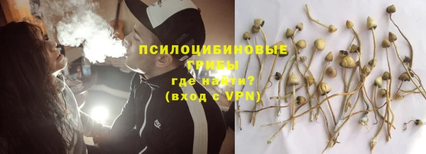 ПСИЛОЦИБИНОВЫЕ ГРИБЫ Краснослободск
