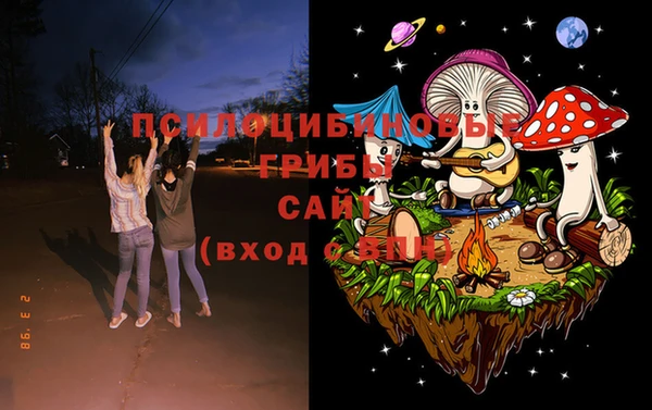гашик Алзамай