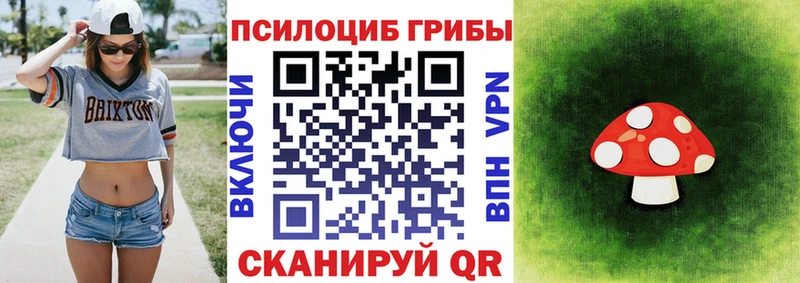 Галлюциногенные грибы Cubensis  hydra как зайти  Сасово  наркотики 
